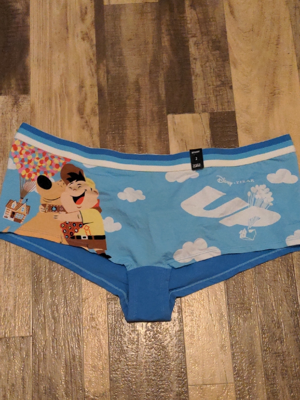NWT Torrid Disney Pixar UP Russell & Dug Boyshort Panties Plus Size 2